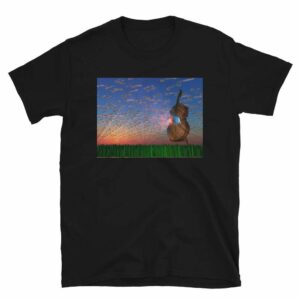 Sky Cello - unisex basic softstyle t shirt black front dc d a - Shujaa Designs