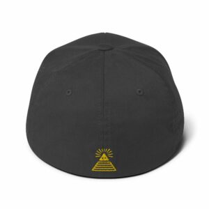 #WAF Illuminati Embroidered Structured Twill Cap - closed back structured cap dark grey back ff a - Shujaa Designs