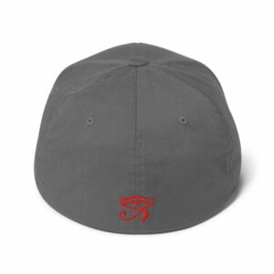 WOKE Embroidered Structured Twill Cap - closed back structured cap grey back ffd a a - Shujaa Designs