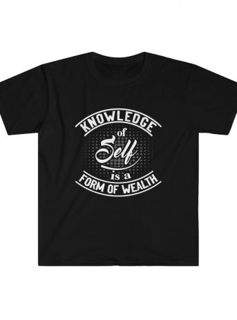 Knowledge Of Self Is A Form Of Wealth Unisex Softstyle T-Shirt - - Shujaa Designs